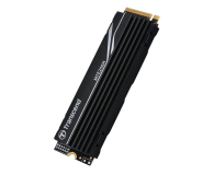 Transcend 1TB M.2 PCIe Gen4 NVMe 250H - 1171763 - zdjęcie 2